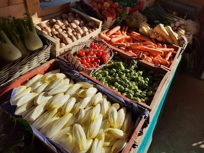 Les serres de Courtieux