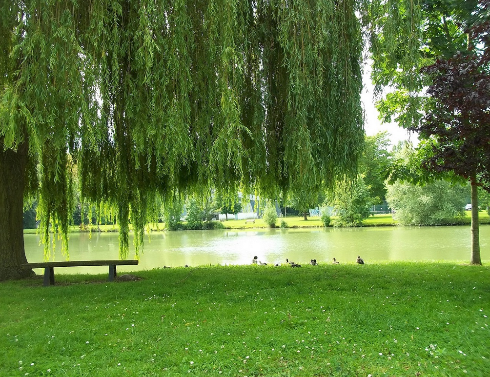 Capture d’écran 2025-11-25 160438