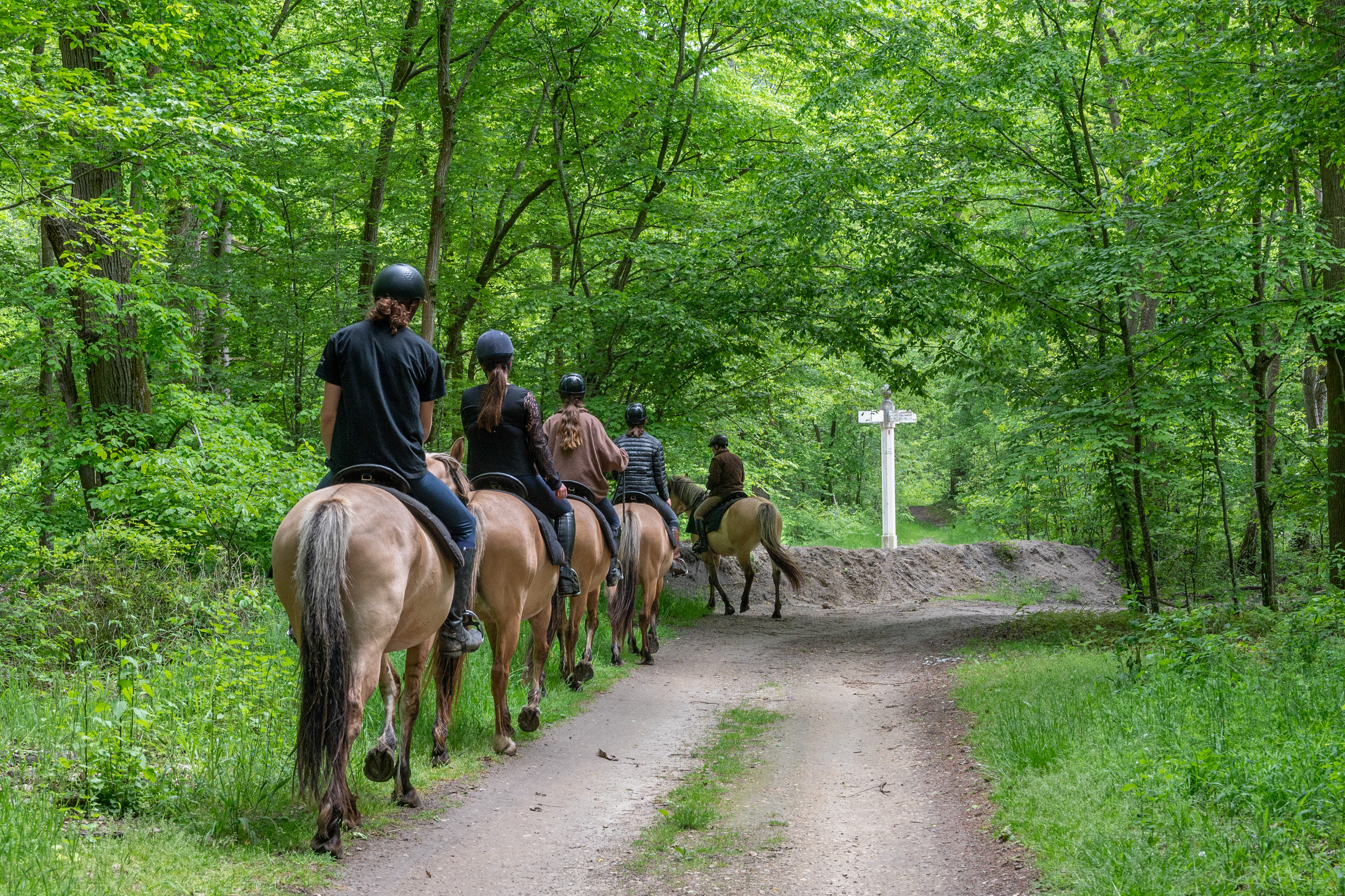 Balade en Henson_© Xavier Renoux - Oise Tourisme_Droits jusqu'au 15.07.2031 (5)