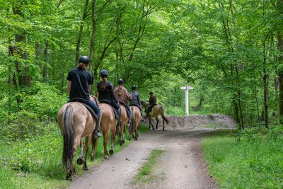 Balade en Henson_© Xavier Renoux - Oise Tourisme_Droits jusqu'au 15.07.2031 (5)