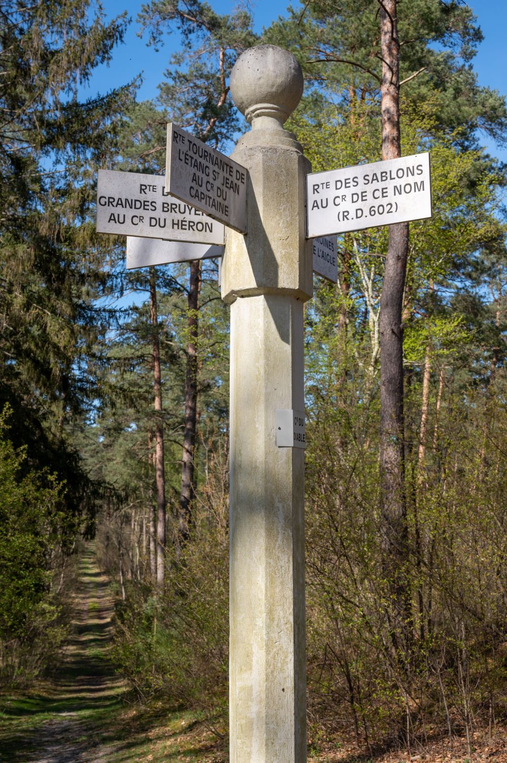 Forêt domaniale de Compiègne